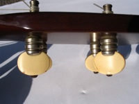 question photo